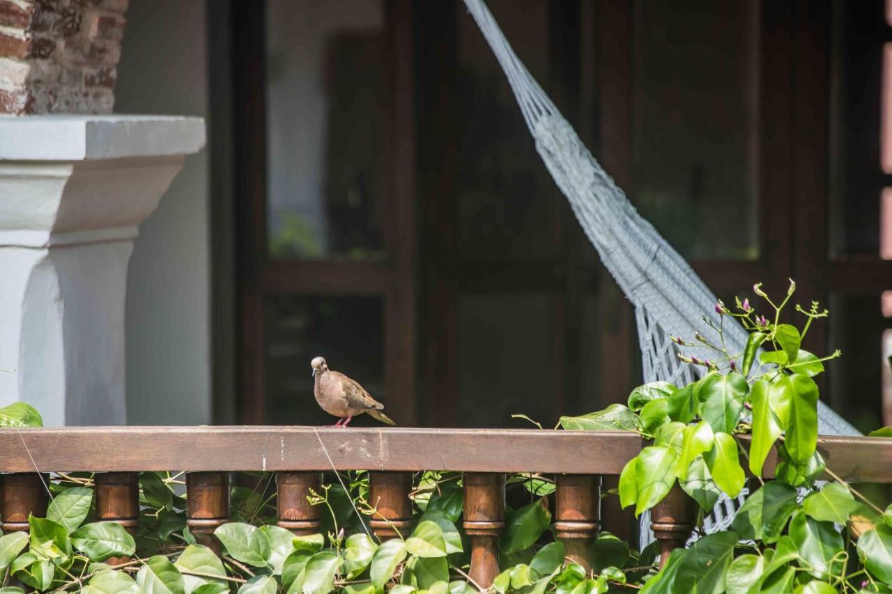 Hotel Boutique Casa Del Arzobispado Cartagena Екстер'єр фото