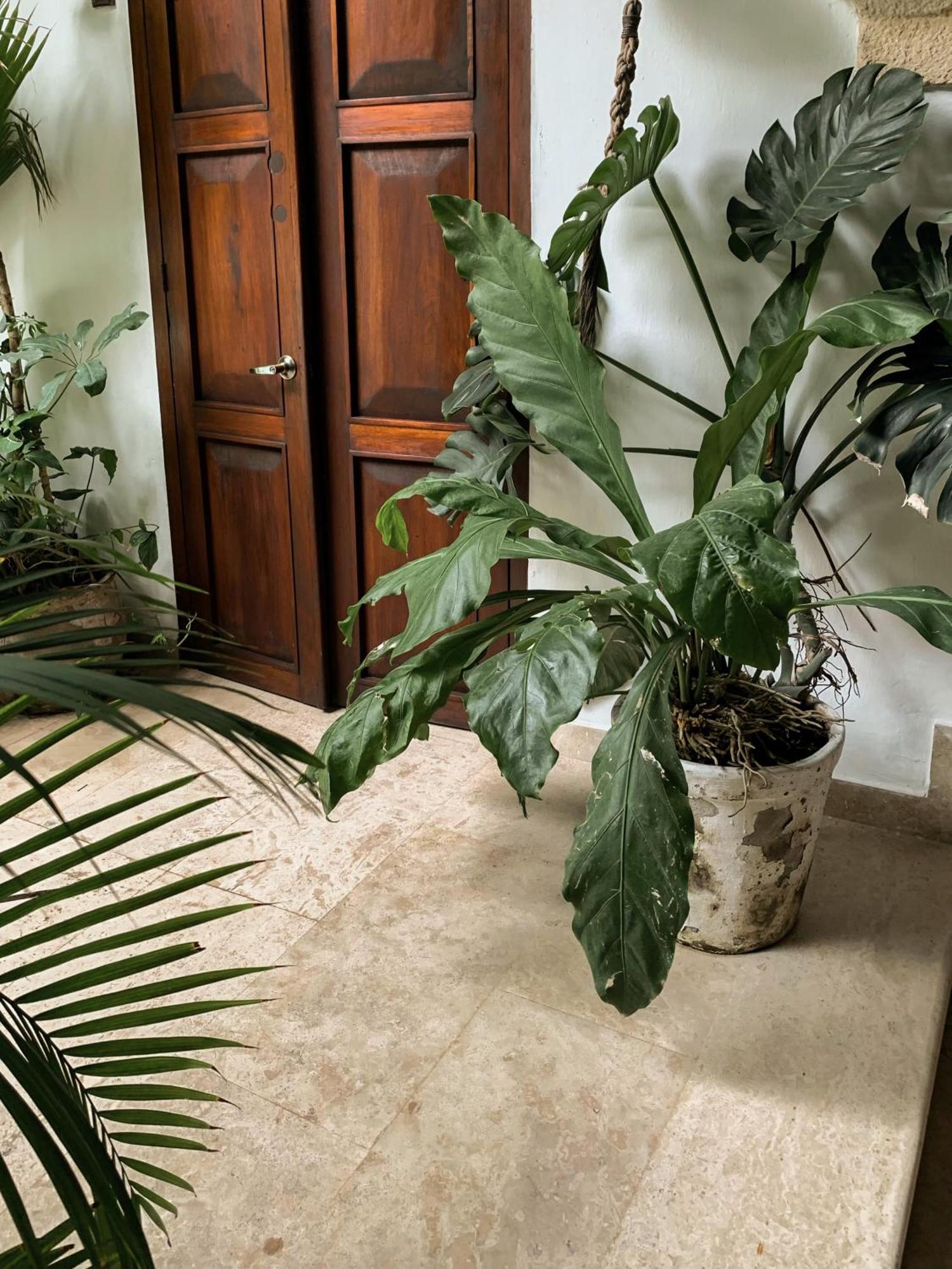 Hotel Boutique Casa Del Arzobispado Cartagena Екстер'єр фото